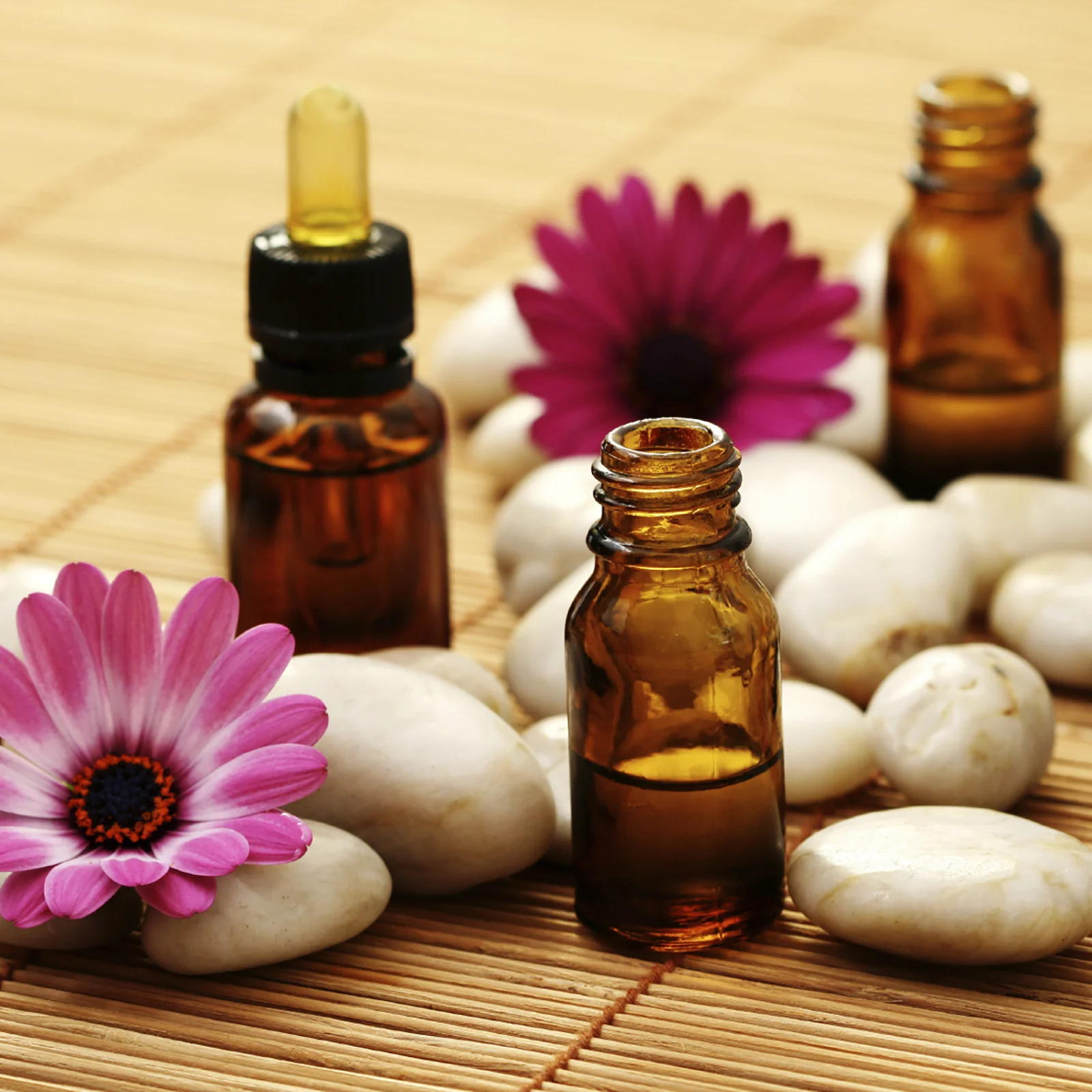 Dry Massage in Banani